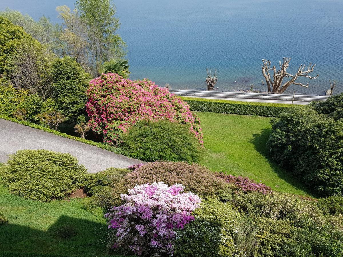 Bmp Apartment Gioiosa 1 Terrazza Vista Lago Belgirate Εξωτερικό φωτογραφία