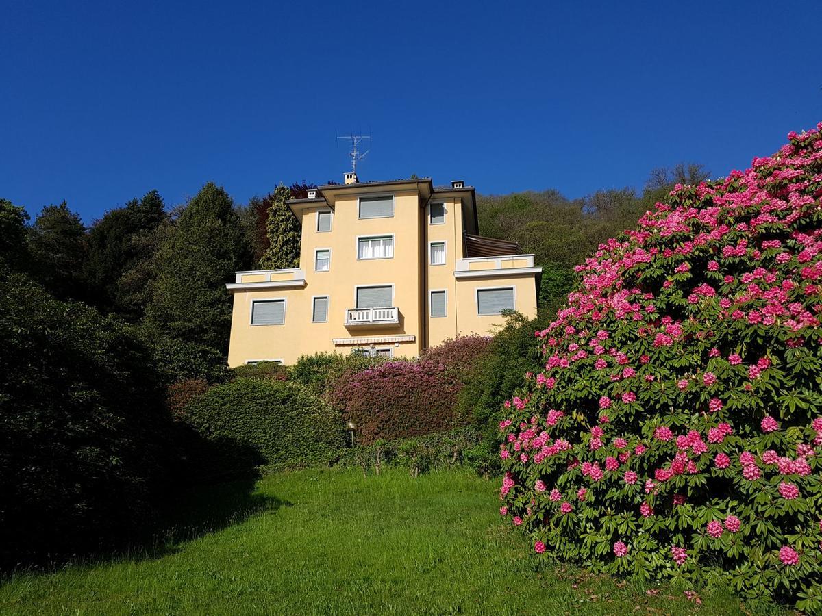 Bmp Apartment Gioiosa 1 Terrazza Vista Lago Belgirate Εξωτερικό φωτογραφία